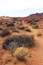 Wildcat Trail in Monument Valley Royalty Free Stock Photo