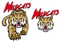 Wildcats mascot