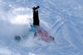 Wilde toboggan ride Royalty Free Stock Photo