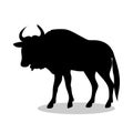 Wildebeest antelope mammal black silhouette animal Royalty Free Stock Photo