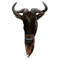 wildebeest head sketch vector graphics