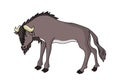 Wildebeest illustration vector.Animal vector wildbeast