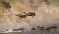 Wildebeest jumping into Mara River. Great Migration. Kenya. Tanzania. Masai Mara National Park.