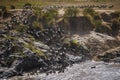 Wildebeest and Zebra crossing the Mara River