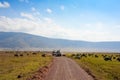 Ngorongoro National Park, Tanzania. Road through a wildlife park with herd of grazing Wildebeest and Zebra Royalty Free Stock Photo