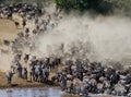 Wildebeests are runing to the Mara river. Great Migration. Kenya. Tanzania. Masai Mara National Park.