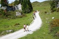 Wilder kaiser mountain in austria