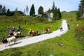 Wilder kaiser mountain in austria