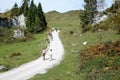 Wilder kaiser mountain in austria