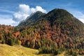 Wilder Kaiser mountains from Kreuzbichl, Tyrol, Austria