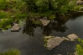 Wilderness abandoned nature top view scenic environment space with pond waters stones and falling tree