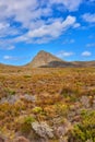 The wilderness of Cape Point National Park. Copy space with the scenery of Lions Head at Table Mountain National Park in Royalty Free Stock Photo