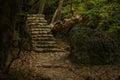 Wilderness deep forest green natural scenic landscape environment with concrete stone bridge and stairway abandoned building