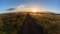 Wilderness Dirt Road Sunrise Grasslands Wildlife Royalty Free Stock Photo