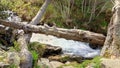 Wilderness in natural park Andorra river Royalty Free Stock Photo