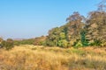 Wilderness in Ranthambhore National park Royalty Free Stock Photo