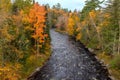 Wilderness River Autumn Forest Overlook