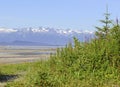 Wilderness scene in Alaska