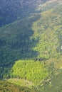 Wilderness scene, Little Fatra, Slovakia