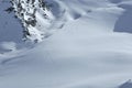 Wilderness ski tracks Royalty Free Stock Photo