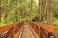Wilderness Trail Bridge Royalty Free Stock Photo
