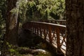 Wilderness trail bridge