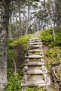 Wilderness trail stairs in Newfoundland Royalty Free Stock Photo