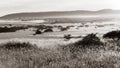 Wilderness Trees Sunrise Grasslands Sepia Black White Royalty Free Stock Photo