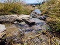 Wilderness: Water Stream Amidst Grass and Rocks