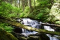 Wilderness waterfall Royalty Free Stock Photo