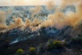 Wildfire aerial view. Fire and smoke. Burning forest. Dry grass and trees burns Royalty Free Stock Photo