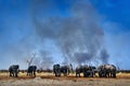 Wildfire in Africa, herd of elephants in smother smoke and black ash.