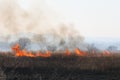 Wildfire in autumn meadow. Wild fire flame burning grass and trees in field. Natural disaster for wildlife and agriculture.