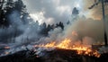 Wildfire Burning Forest with Smoke and Flames in Dense Pine Trees During Daytime Royalty Free Stock Photo