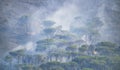 Wildfire burning a forest of trees on a mountain with smoke and mist. Royalty Free Stock Photo