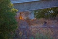 Wildfire California bike path