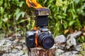 Forest fire destroyed the camera tourists