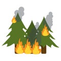 Wildfire destroys pines smock