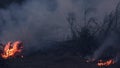 Wildfire while drought at night, close-up. Smoke and air pollution from agricultural burning farm fields.