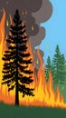 Wildfire flames engulfing trees with smoke against bright blue sky Royalty Free Stock Photo