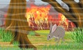 Wildfire in the forest. European hare is saved from fire.