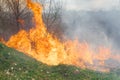 Wildfire, forest fire, burning forest, field fire Royalty Free Stock Photo