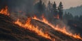Wildfire forest fire burning near a town. Royalty Free Stock Photo