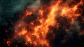Wildfire forest fire burning. Top view of forest fire Royalty Free Stock Photo