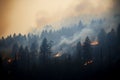 wildfire forest fire Engulfs Woods Fire Spreads Wildly