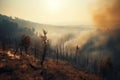 wildfire forest much smoke and fire, dramatic, climate disaster