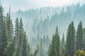 Wildfire haze at Warm Spring, Yellowstone National Park, Wyoming