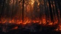 wildfire, Heatwave causes forest burning rapidly and destroyed, silhouette, natural calamity, Royalty Free Stock Photo