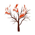 Wildfire Icon Royalty Free Stock Photo