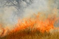 Wildfire Royalty Free Stock Photo